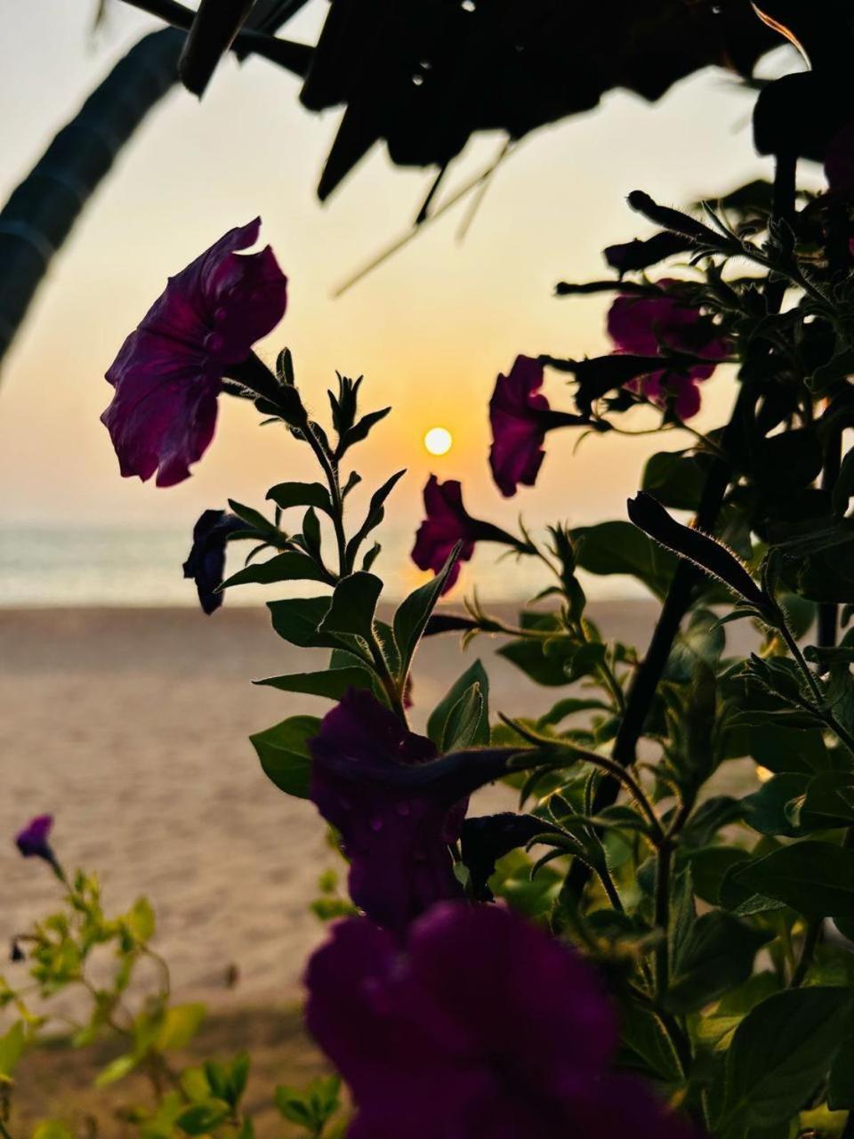 Ocean Of Life Ayurveda Hotel Induruwa Bagian luar foto